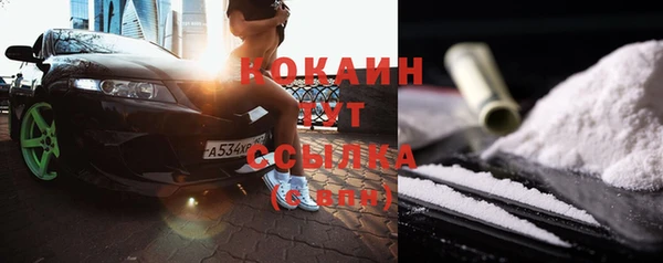соль ск Бородино