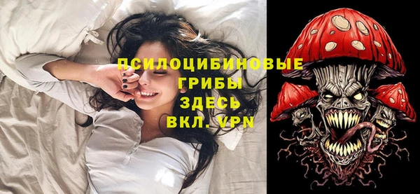 соль ск Бородино