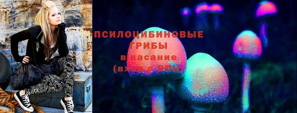 соль ск Бородино