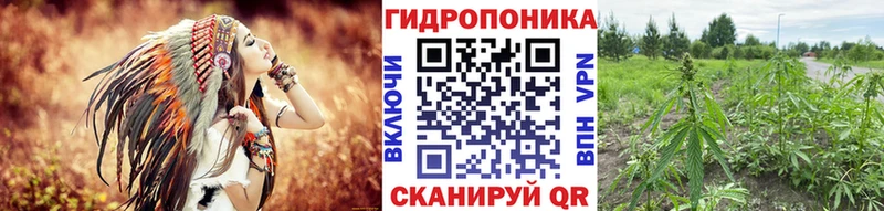 Конопля Amnesia Орск